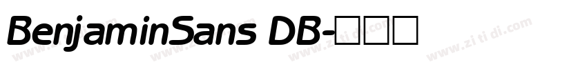 BenjaminSans DB字体转换